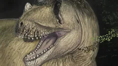 Toisen maailmansodan aikana tuhoutuneiden luiden valokuva auttoi löytämään uuden petodinosaurussuvun