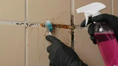 Näin pääset eroon homeesta laattasaumoissa – helpot ja tehokkaat keinot