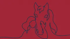 Testaa alitajuntaasi – mitä huomaat kuvassa ensin?