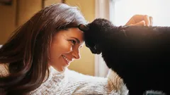 Yhdeksän varmaa merkkiä, että kissa todella rakastaa sinua