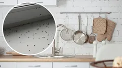 Näillä kotikonsteilla pääset eroon hedelmäkärpäsistä helposti