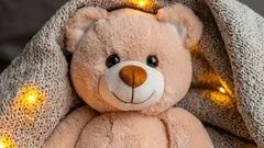 Milloin viimeksi pesit lapsesi pehmolelun? Näistä syistä se kannattaa tehdä säännöllisesti