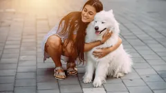 Mitkä 5 koirarotua ovat eläinlääkärien mielestä lempeimpiä?