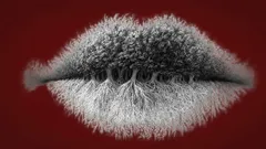 Mitä huomaat kuvassa ensin – testi kertoo yllättävän paljon persoonallisuudestasi